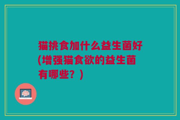 猫挑食加什么益生菌好(增强猫食欲的益生菌有哪些?)