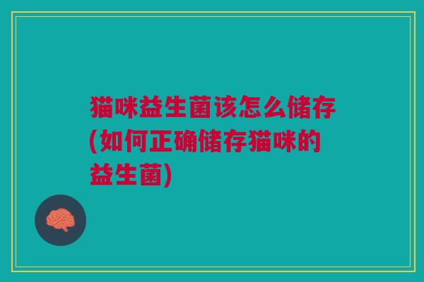 猫咪益生菌该怎么储存(如何正确储存猫咪的益生菌)