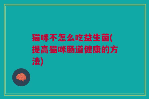 猫咪不怎么吃益生菌(提高猫咪肠道健康的方法)
