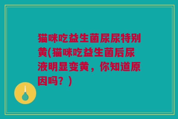 猫咪吃益生菌尿尿特别黄(猫咪吃益生菌后尿液明显变黄，你知道原因吗？)