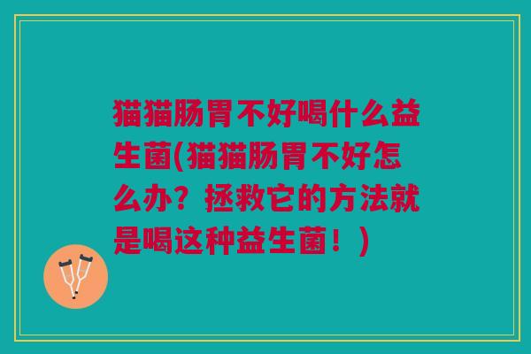 猫猫肠胃不好喝什么益生菌(猫猫肠胃不好怎么办?拯救它的方法就是喝这种益生菌!) 猫猫肠胃不好喝什么益生菌(猫猫肠胃不好怎么办?拯救它的方法就是喝这种益生菌!)