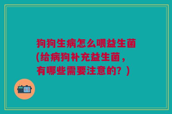 狗狗生病怎么喂益生菌(给病狗补充益生菌,有哪些需要注意的?)