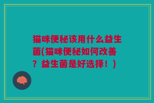 猫咪便秘该用什么益生菌(猫咪便秘如何改善?益生菌是好选择!)