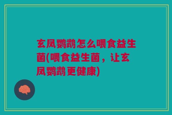 玄凤鹦鹉怎么喂食益生菌(喂食益生菌,让玄凤鹦鹉更健康)