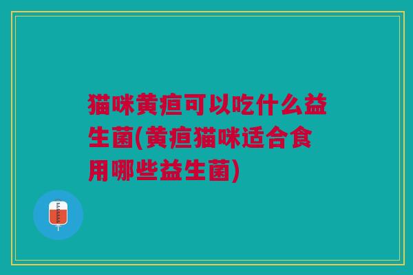 猫咪黄疸可以吃什么益生菌(黄疸猫咪适合食用哪些益生菌)