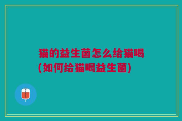 猫的益生菌怎么给猫喝(如何给猫喝益生菌)