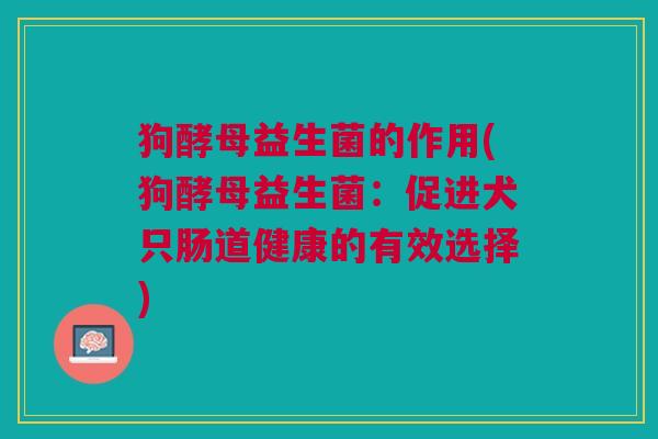 狗酵母益生菌的作用(狗酵母益生菌:促进犬只肠道健康的有效选择) 狗酵母益生菌的作用(狗酵母益生菌:促进犬只肠道健康的有效选择)