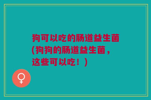 狗可以吃的肠道益生菌(狗狗的肠道益生菌,这些可以吃!)
