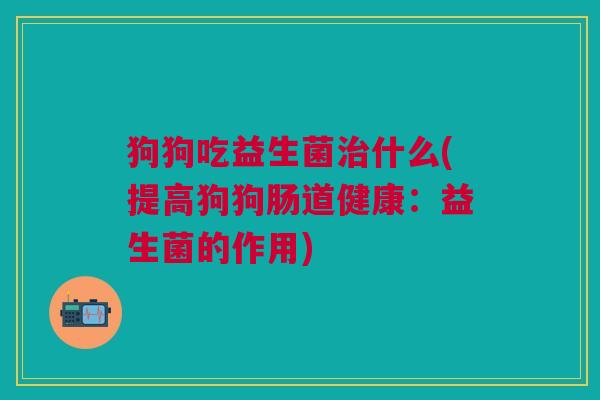 狗狗吃益生菌什么(提高狗狗肠道健康:益生菌的作用) 狗狗吃益生菌什么(提高狗狗肠道健康:益生菌的作用)