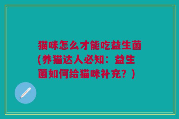 猫咪怎么才能吃益生菌(养猫达人必知:益生菌如何给猫咪补充?)