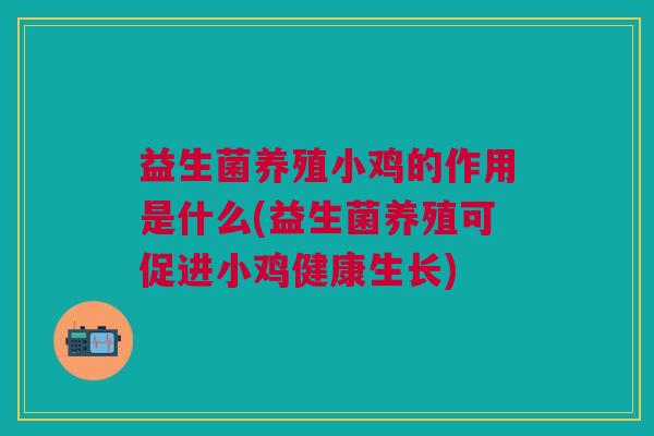 益生菌养殖小鸡的作用是什么(益生菌养殖可促进小鸡健康生长)