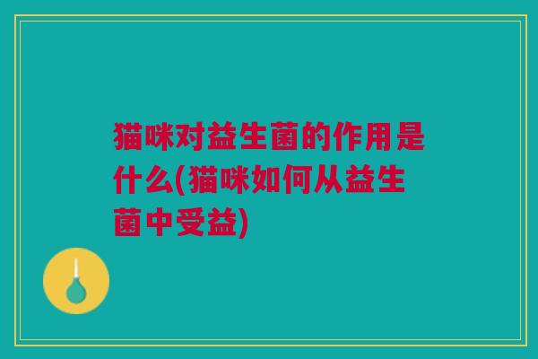 猫咪对益生菌的作用是什么(猫咪如何从益生菌中受益)