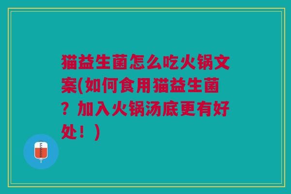 猫益生菌怎么吃火锅文案(如何食用猫益生菌？加入火锅汤底更有好处！)