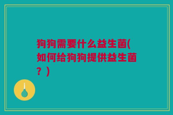 狗狗需要什么益生菌(如何给狗狗提供益生菌?)