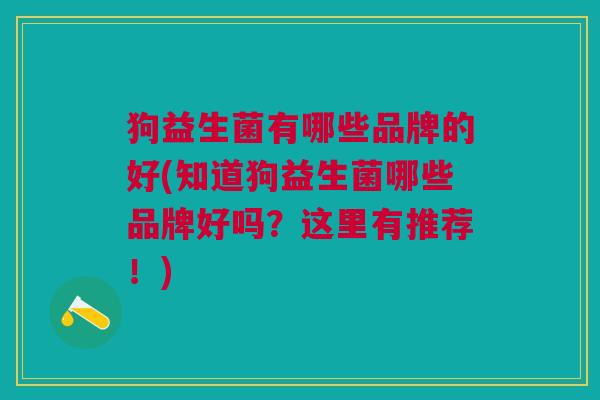 狗益生菌有哪些品牌的好(知道狗益生菌哪些品牌好吗?这里有推荐!)