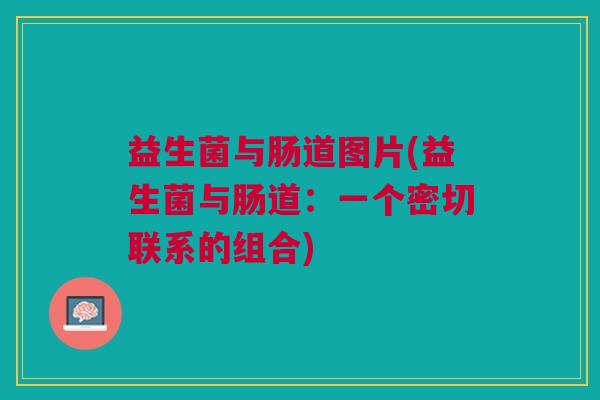 益生菌与肠道图片(益生菌与肠道:一个密切联系的组合)