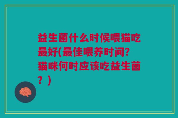 益生菌什么时候喂猫吃最好(最佳喂养时间?猫咪何时应该吃益生菌?)