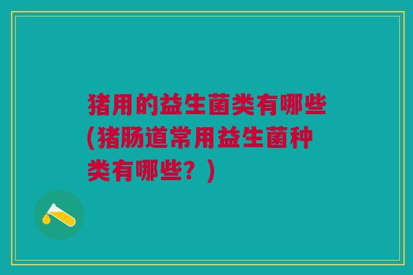 猪用的益生菌类有哪些(猪肠道常用益生菌种类有哪些?) 猪用的益生菌类有哪些(猪肠道常用益生菌种类有哪些?)