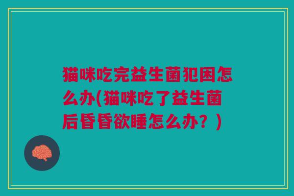 猫咪吃完益生菌犯困怎么办(猫咪吃了益生菌后昏昏欲睡怎么办?)