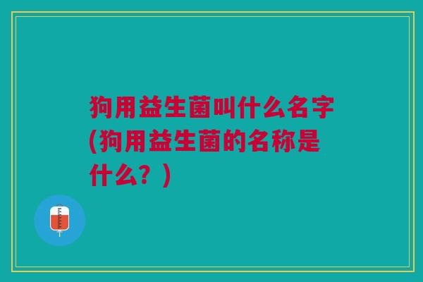 狗用益生菌叫什么名字(狗用益生菌的名称是什么?)