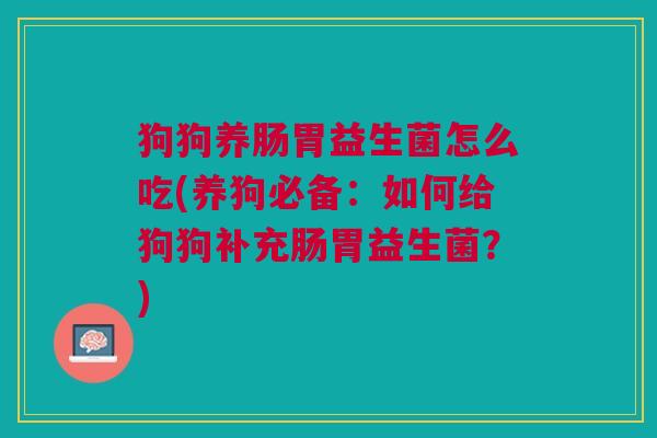 狗狗养肠胃益生菌怎么吃(养狗必备:如何给狗狗补充肠胃益生菌?)