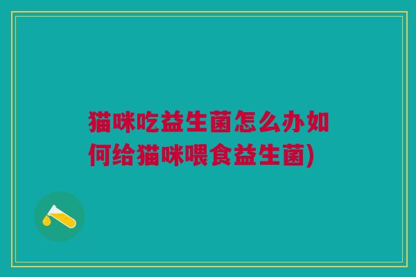 猫咪吃益生菌怎么办如何给猫咪喂食益生菌)