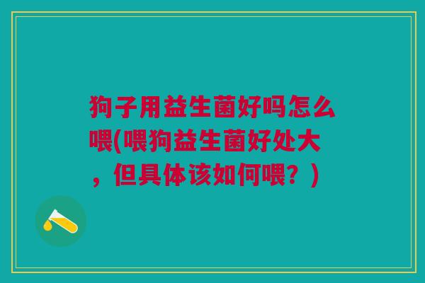 狗子用益生菌好吗怎么喂(喂狗益生菌好处大,但具体该如何喂?)