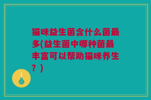 猫咪益生菌含什么菌最多(益生菌中哪种菌最丰富可以帮助猫咪养生?)