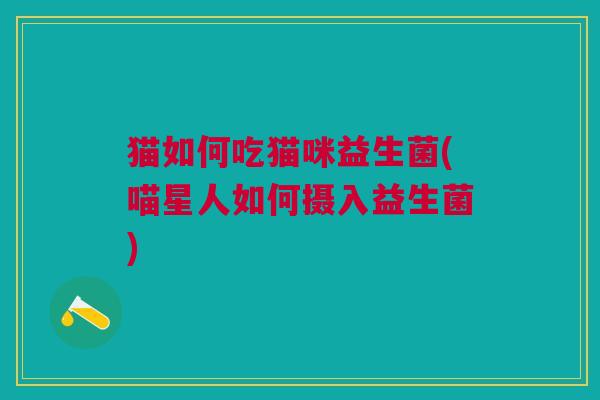 猫如何吃猫咪益生菌(喵星人如何摄入益生菌) 猫如何吃猫咪益生菌(喵星人如何摄入益生菌)