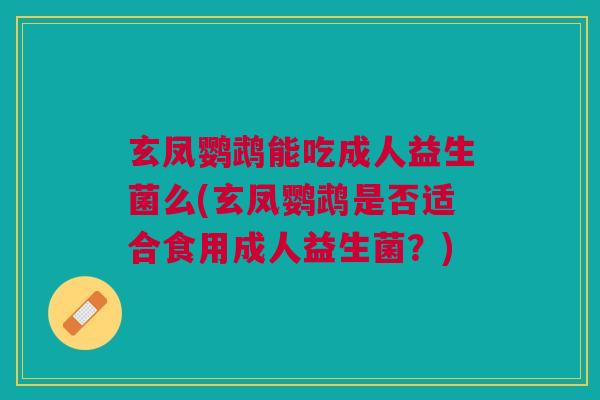 玄凤鹦鹉能吃成人益生菌么(玄凤鹦鹉是否适合食用成人益生菌?)