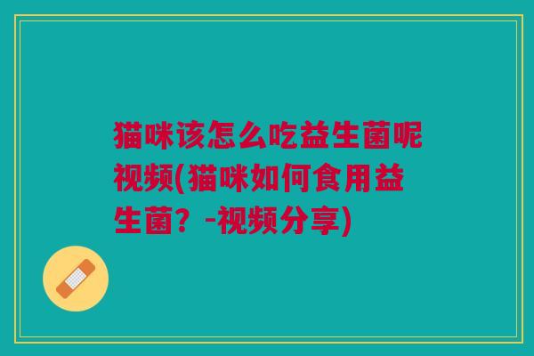 猫咪该怎么吃益生菌呢视频(猫咪如何食用益生菌?-视频分享)