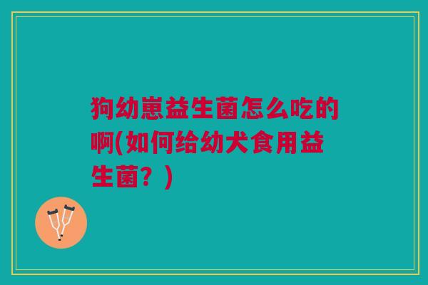 狗幼崽益生菌怎么吃的啊(如何给幼犬食用益生菌?)