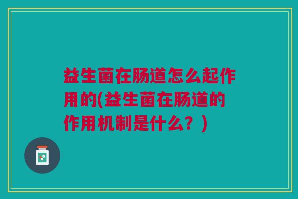 益生菌在肠道怎么起作用的(益生菌在肠道的作用机制是什么？)