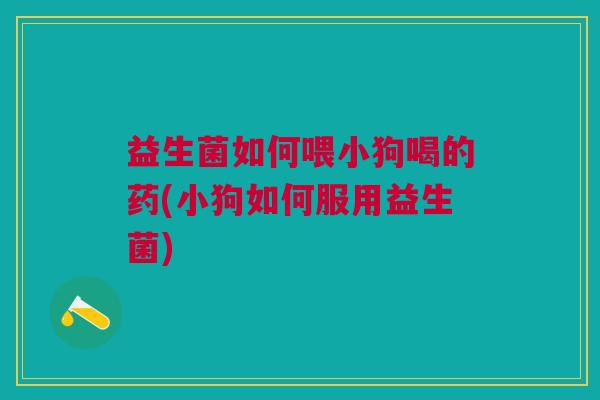 益生菌如何喂小狗喝的药(小狗如何服用益生菌) 益生菌如何喂小狗喝的药(小狗如何服用益生菌)