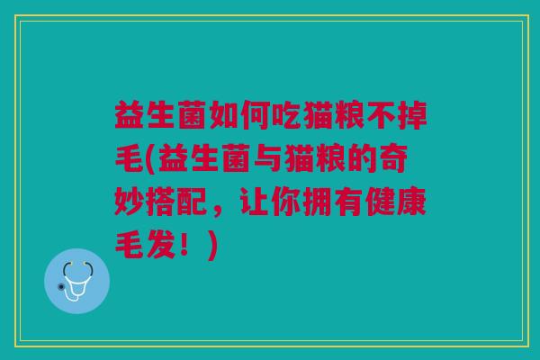 益生菌如何吃猫粮不掉毛(益生菌与猫粮的奇妙搭配,让你拥有健康毛发!) 益生菌如何吃猫粮不掉毛(益生菌与猫粮的奇妙搭配,让你拥有健康毛发!)