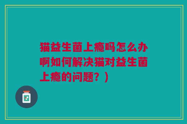 猫益生菌上瘾吗怎么办啊如何解决猫对益生菌上瘾的问题?)
