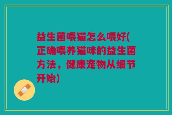 益生菌喂猫怎么喂好(正确喂养猫咪的益生菌方法，健康宠物从细节开始)