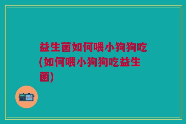 益生菌如何喂小狗狗吃(如何喂小狗狗吃益生菌)
