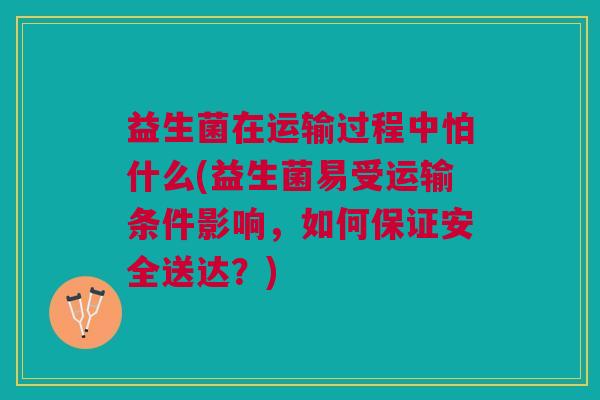 益生菌在运输过程中怕什么(益生菌易受运输条件影响,如何保证安全送达?)