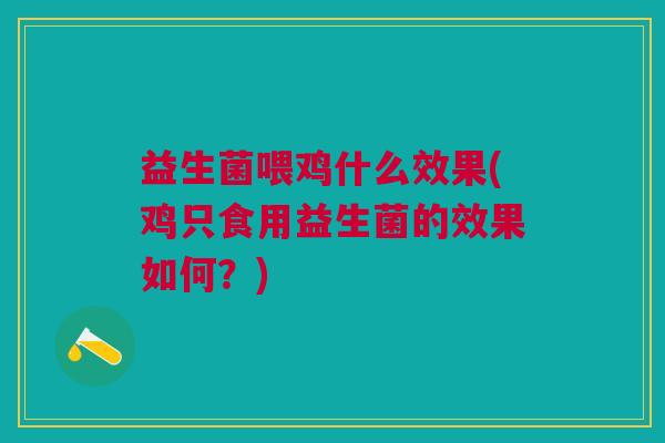 益生菌喂鸡什么效果(鸡只食用益生菌的效果如何?)