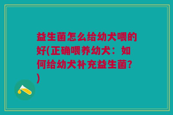 益生菌怎么给幼犬喂的好(正确喂养幼犬:如何给幼犬补充益生菌?)