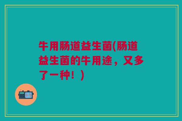 牛用肠道益生菌(肠道益生菌的牛用途,又多了一种!)