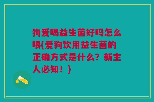狗爱喝益生菌好吗怎么喂(爱狗饮用益生菌的正确方式是什么?新主人必知!) 狗爱喝益生菌好吗怎么喂(爱狗饮用益生菌的正确方式是什么?新主人必知!)