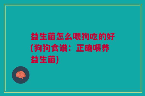 益生菌怎么喂狗吃的好(狗狗食谱:正确喂养益生菌)