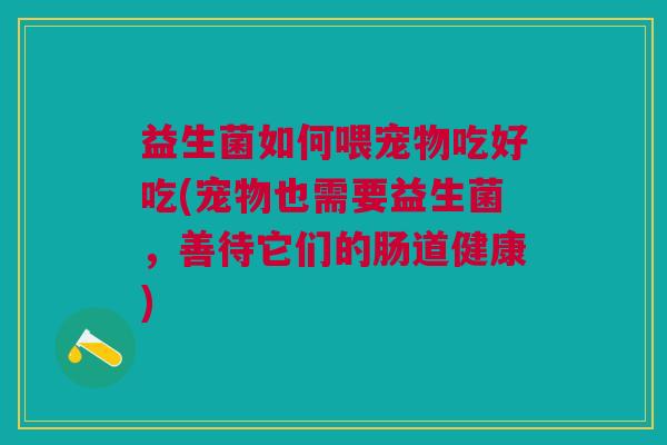 益生菌如何喂宠物吃好吃(宠物也需要益生菌,善待它们的肠道健康) 益生菌如何喂宠物吃好吃(宠物也需要益生菌,善待它们的肠道健康)