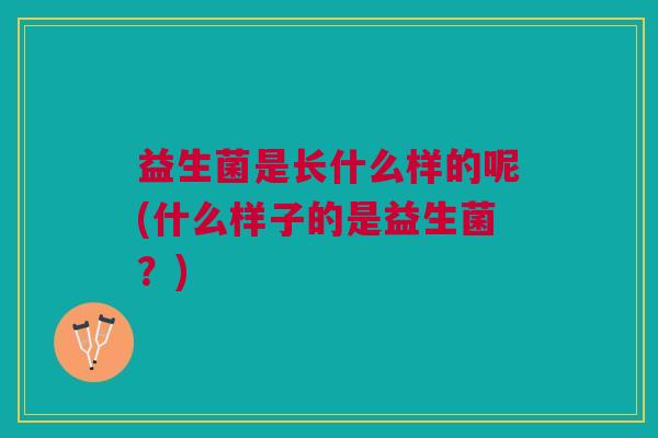 益生菌是长什么样的呢(什么样子的是益生菌?)