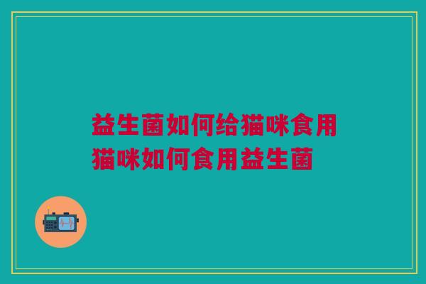益生菌如何给猫咪食用猫咪如何食用益生菌