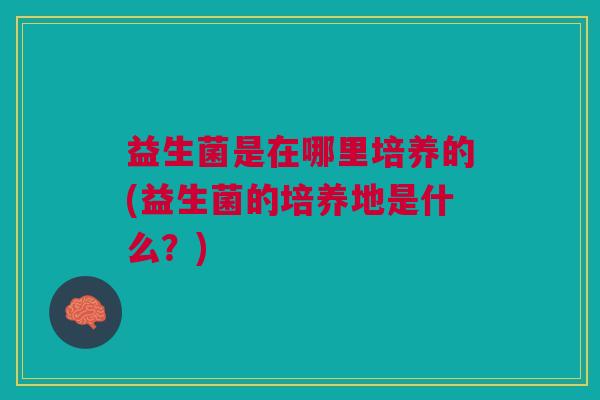 益生菌是在哪里培养的(益生菌的培养地是什么?)