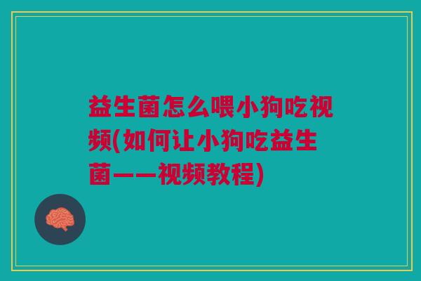 益生菌怎么喂小狗吃视频(如何让小狗吃益生菌——视频教程)