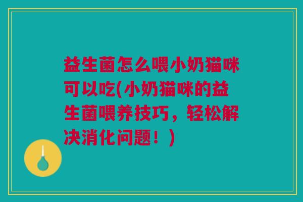 益生菌怎么喂小奶猫咪可以吃(小奶猫咪的益生菌喂养技巧,轻松解决消化问题!)